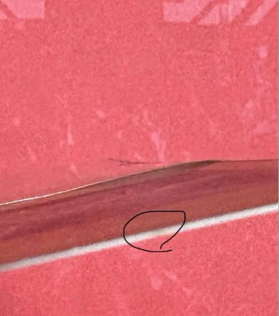 遊戯王　真紅眼の黒竜　レリーフ　アルティメットレア