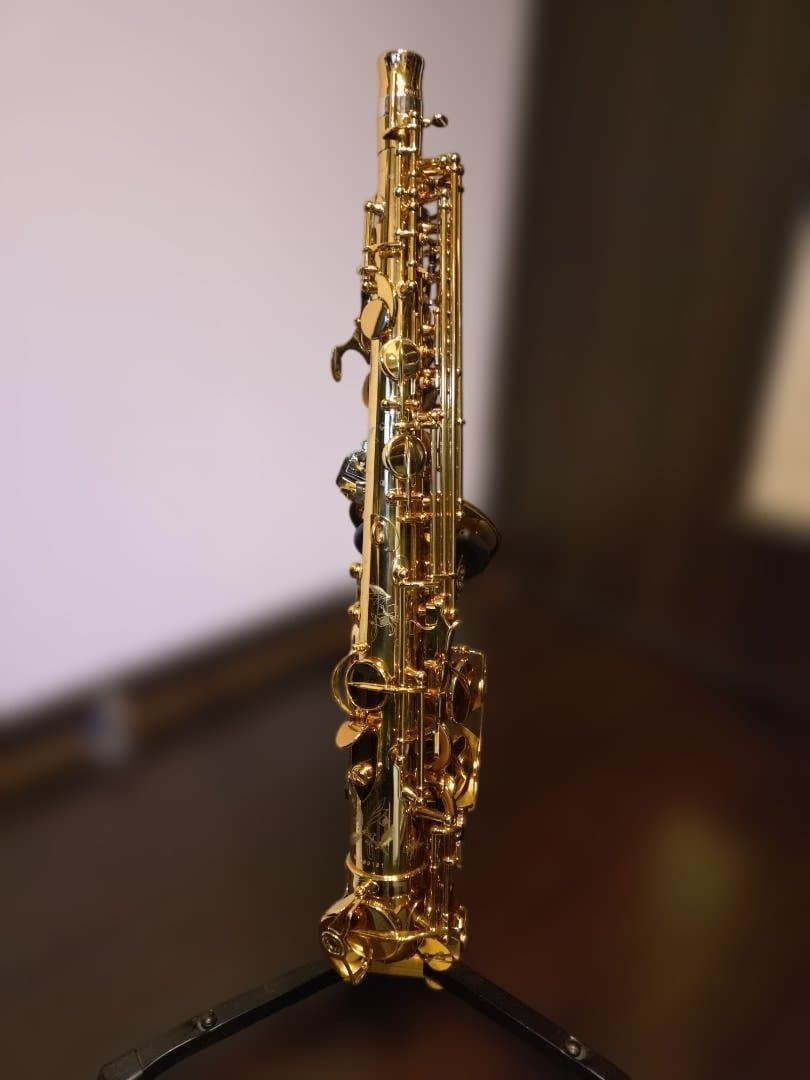 セルマー(Selmer)シュプレームアルトDARK GL(伊東たけし)選定品