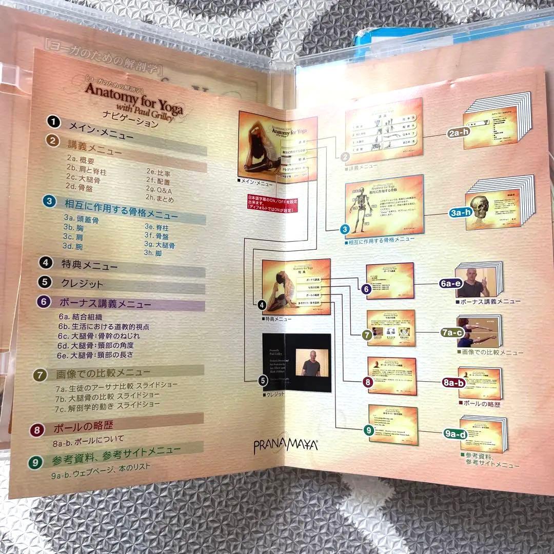 アナトミーフォーヨガ　ヨーガ　YOGA　DVD　体感して学ぶヨガの解剖学