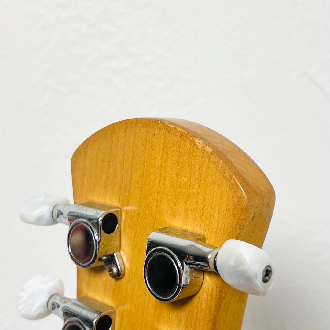 人気 ピグノーズ エレキギター PGG100 サンバースト メンテナンス済み