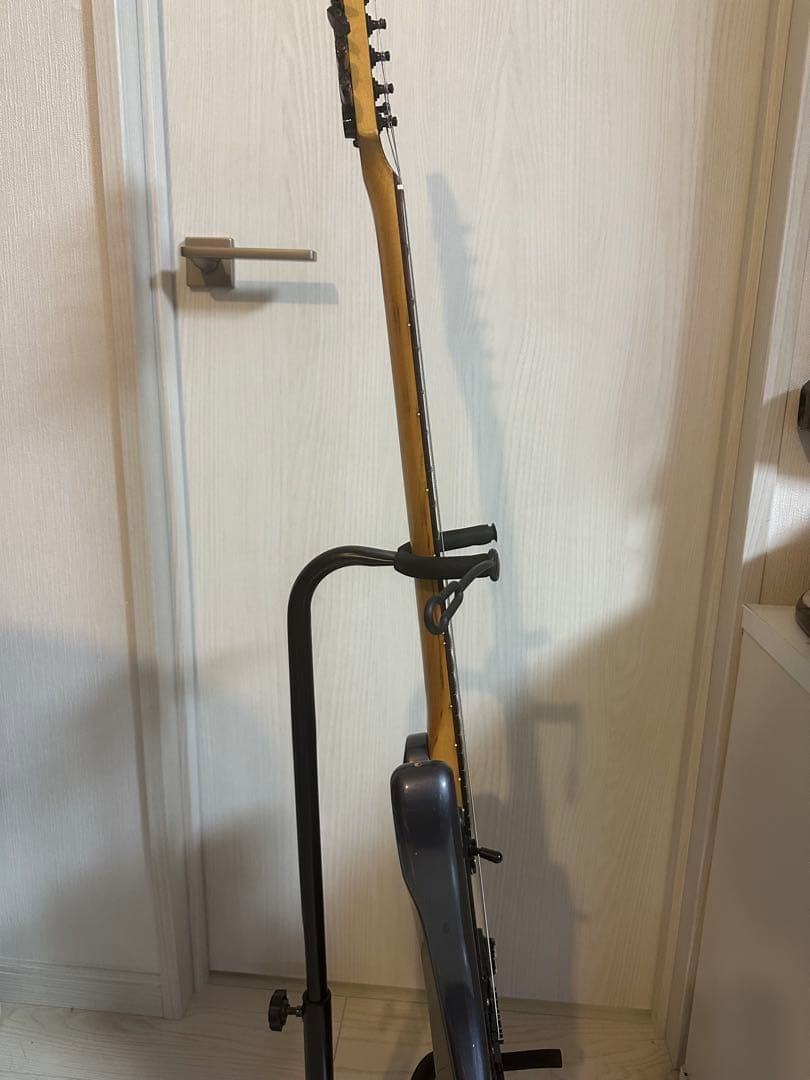 (ジャンク)FERNANDES JG ジャガー