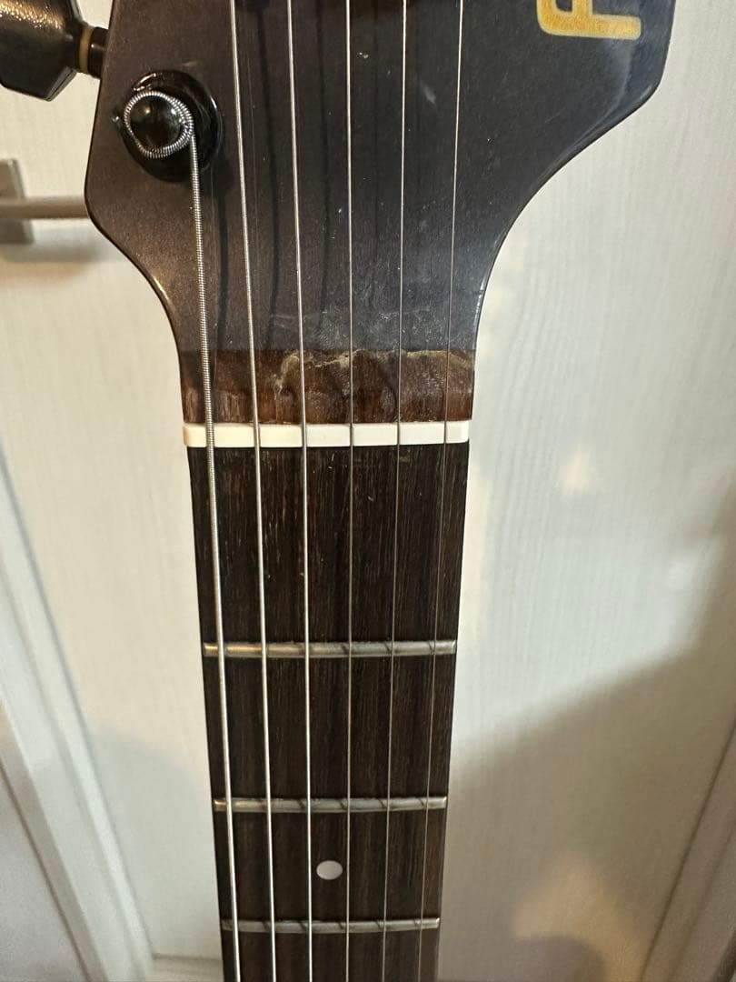 (ジャンク)FERNANDES JG ジャガー