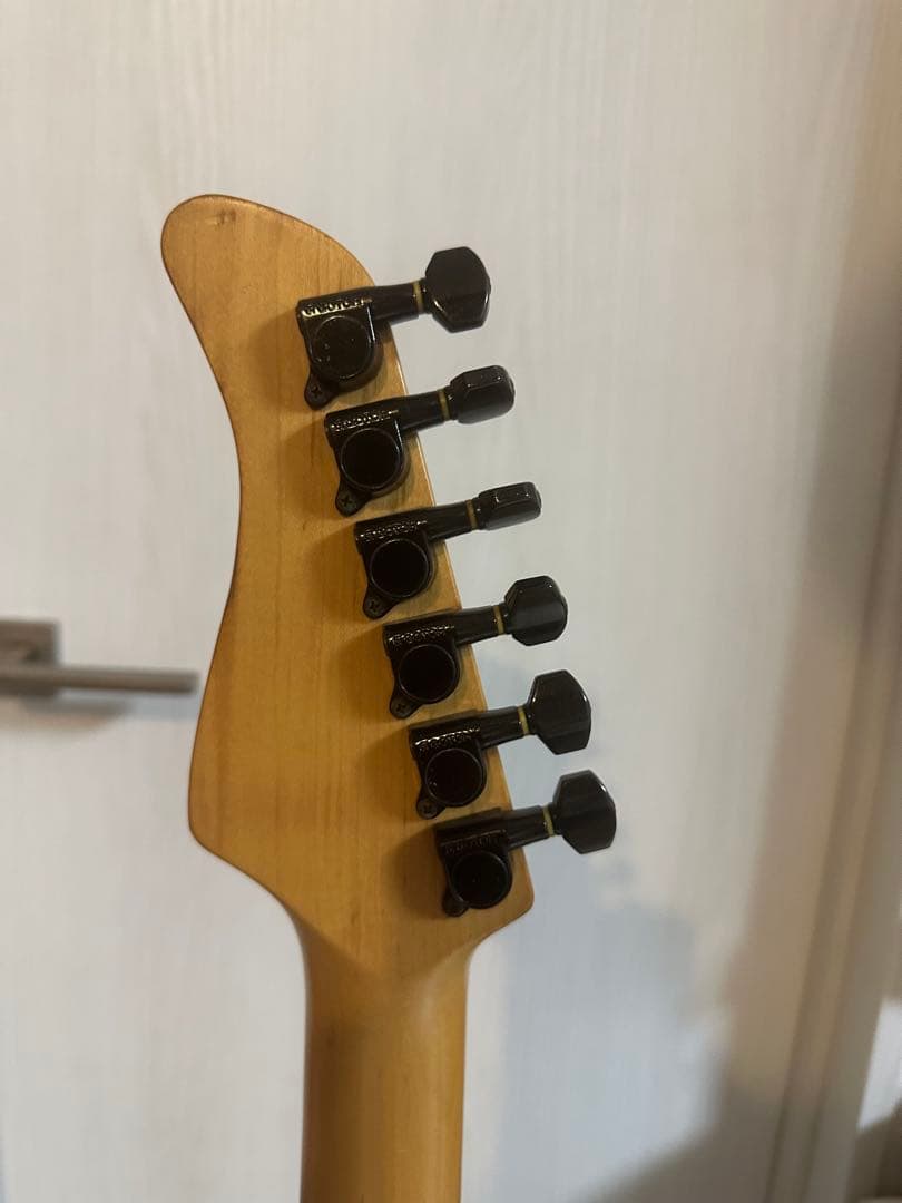 (ジャンク)FERNANDES JG ジャガー