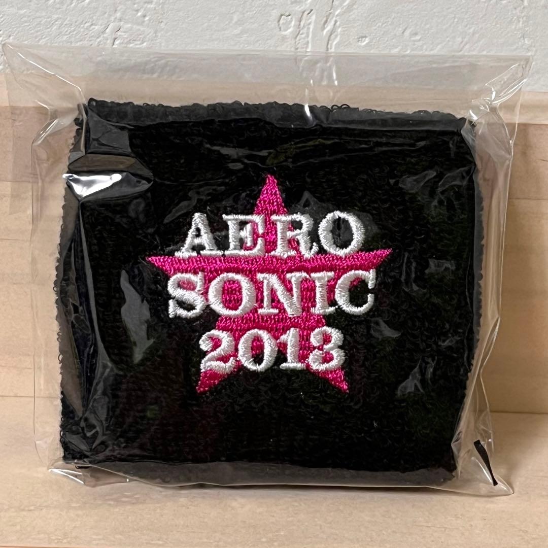 B'z エアロスミス エアロソニック 2013 リストバンド 2個セット