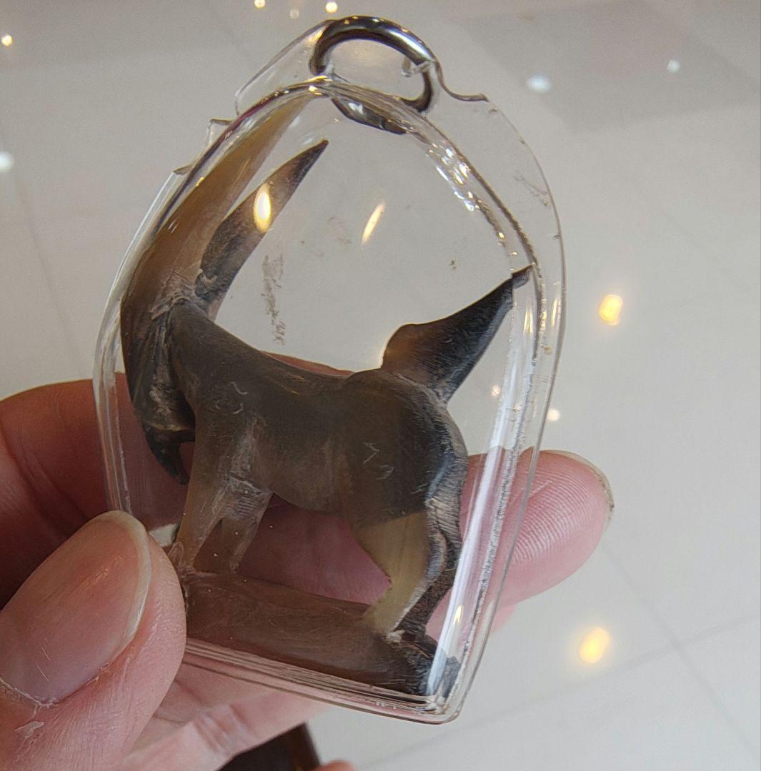 タイのお守りプラクルアン！牛！商売繁盛&金運&体力向上！専門店購入！