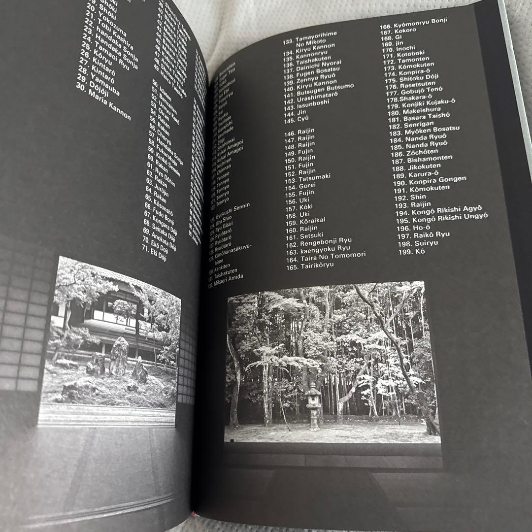 Ryushin - 龍心 作品集【希少】