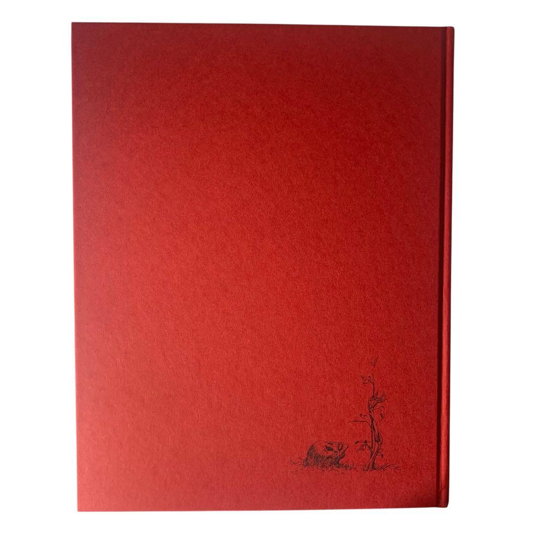 Santa Lilio Sangre緋いユリ : 小島文美画集