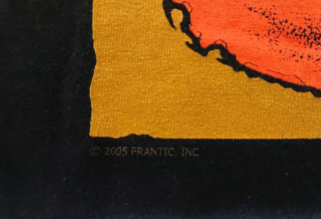 メタリカ Tシャツ 2005コピーライト LLICA パスヘッド 黒 L