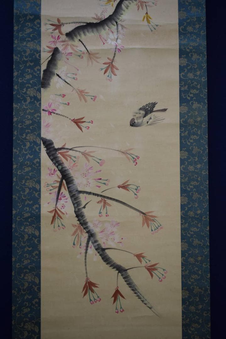 不詳/作者不詳/桜花雀図/布袋屋掛軸HK-12