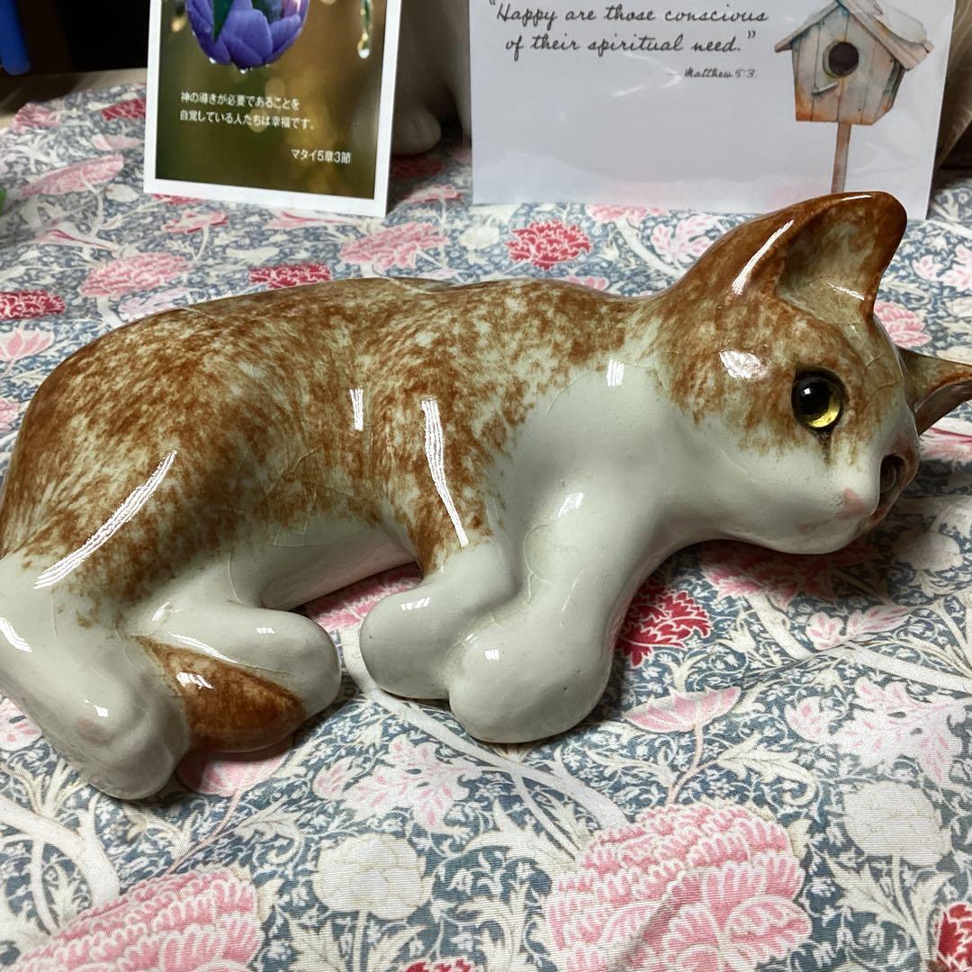 ウィンスタンレイキャットサイズ4の超美人猫SaksFifthAvenue貴重な子