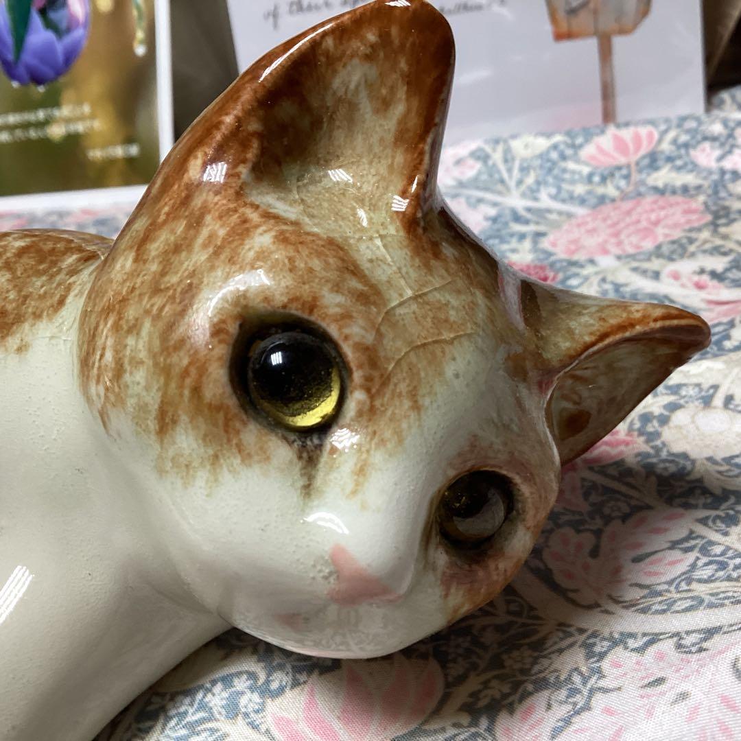 ウィンスタンレイキャットサイズ4の超美人猫SaksFifthAvenue貴重な子