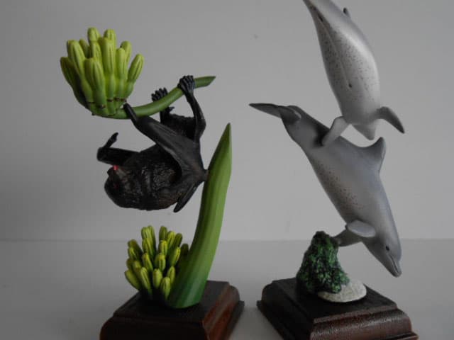 ♯Jti11RZネイチャーテクニカラー小笠原2種