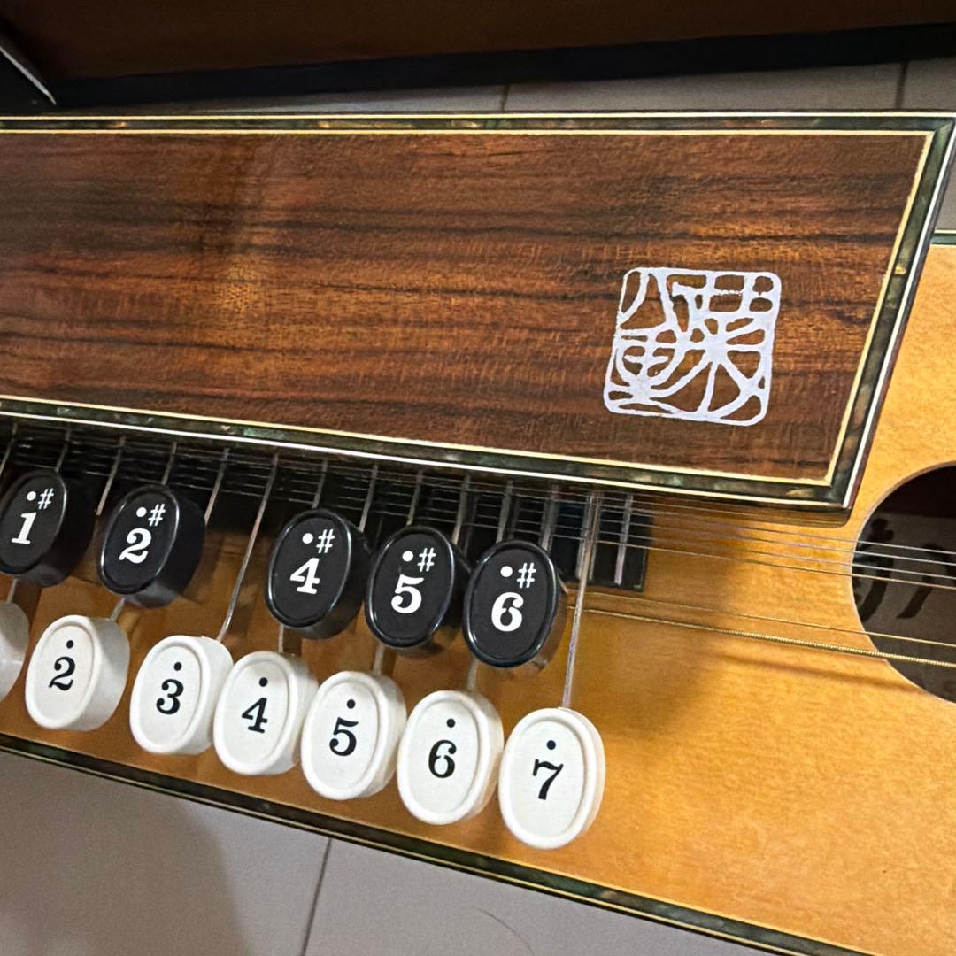 極美品　大正琴　菊八重　F 280 S ハードケース付き