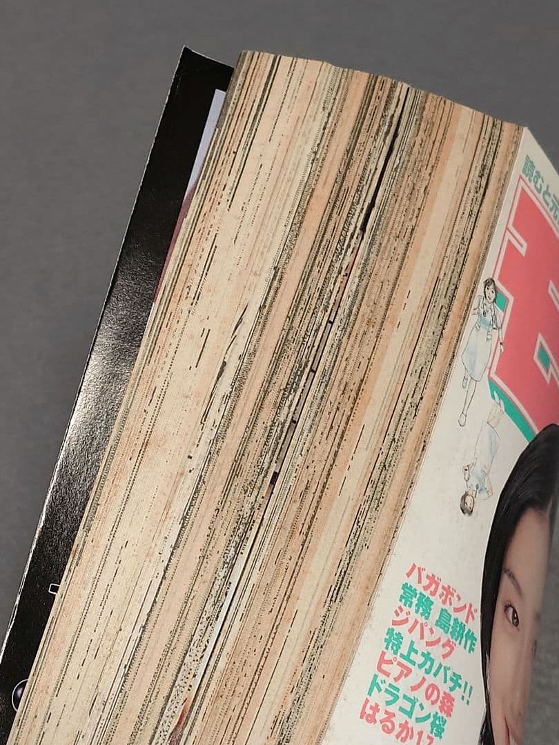 モーニング2006年1月31日7号/バガボンド#199 小次郎と又八/井上雄彦