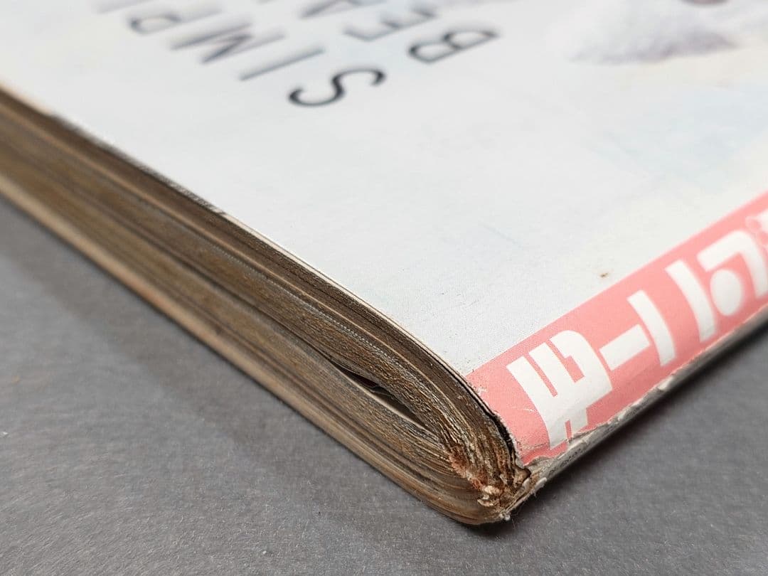 モーニング2006年1月31日7号/バガボンド#199 小次郎と又八/井上雄彦