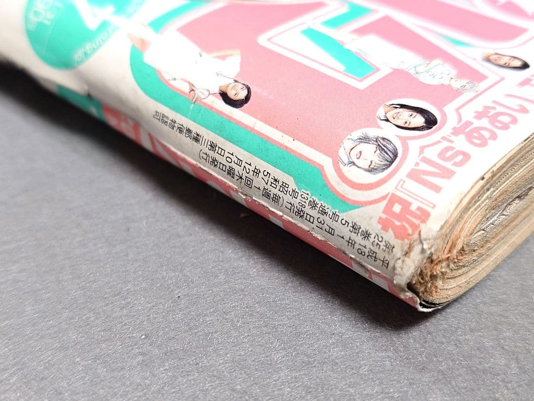 モーニング2006年1月31日7号/バガボンド#199 小次郎と又八/井上雄彦