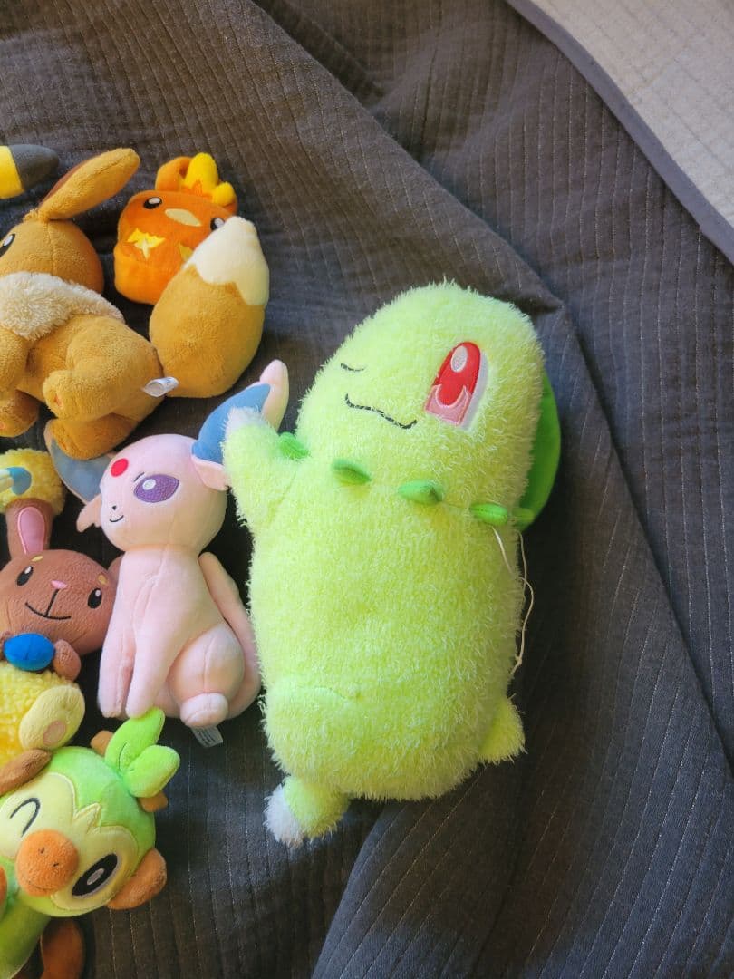 ポケモンぬいぐるみ年末セール