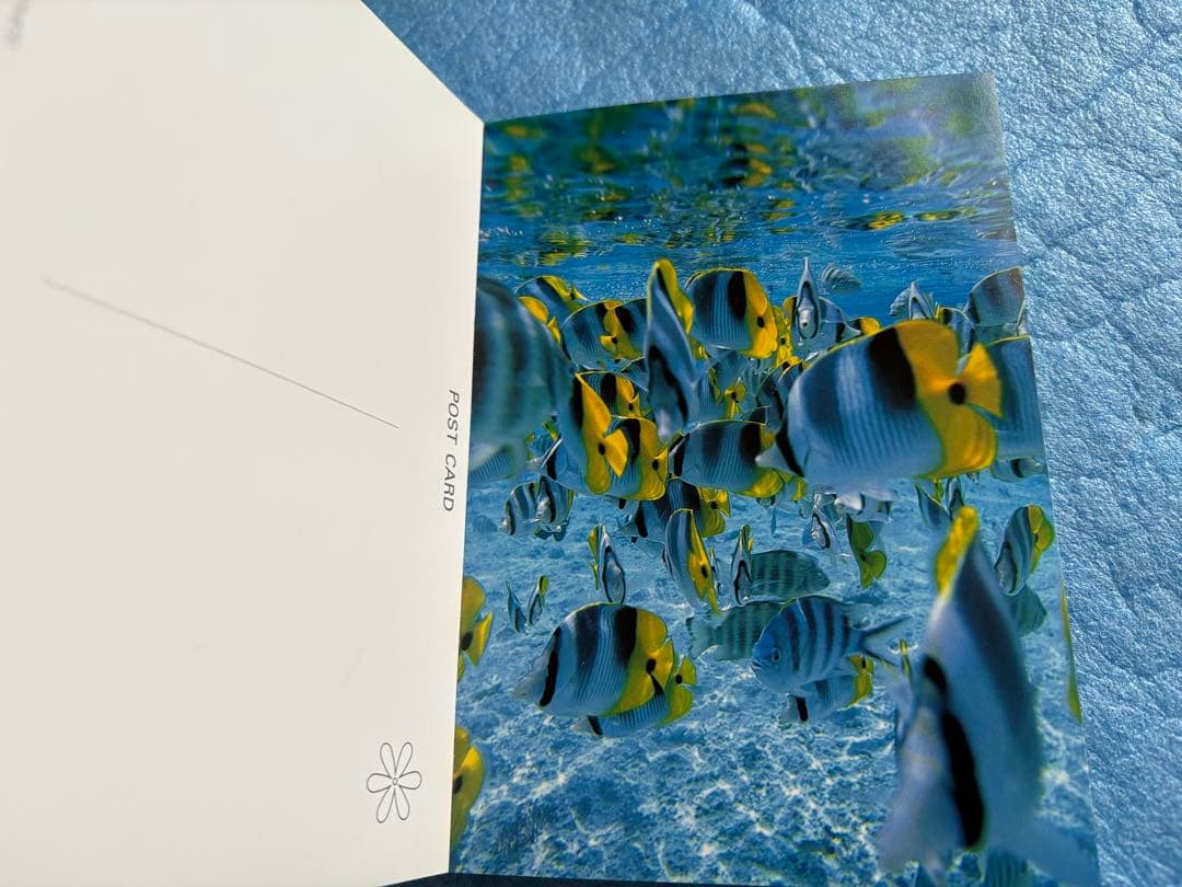 【稀少】三好和義 楽園TAHITI ポストカードブック　40点収録