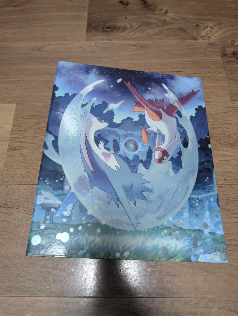 【引退品】ポケモンカード デッキ2セット ファイルとスリーブ付き