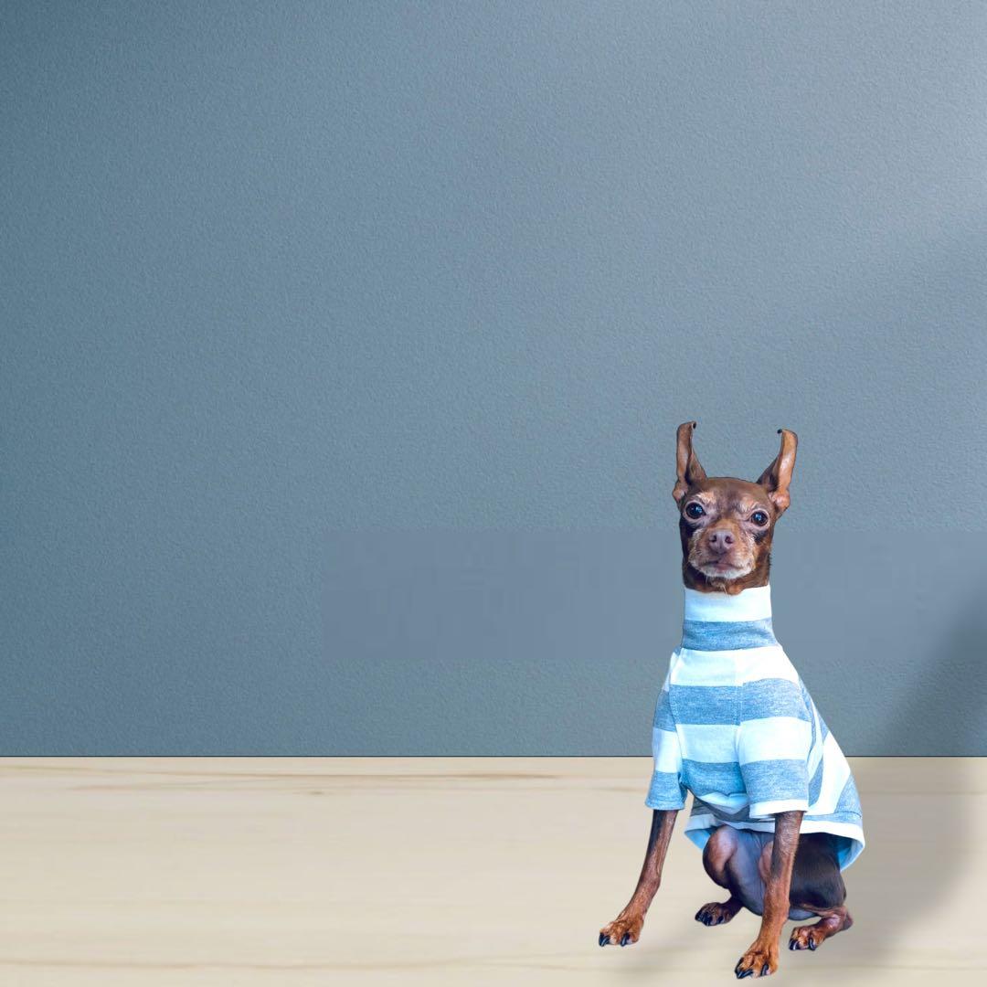 ⑱ボーダーショートスリーブ