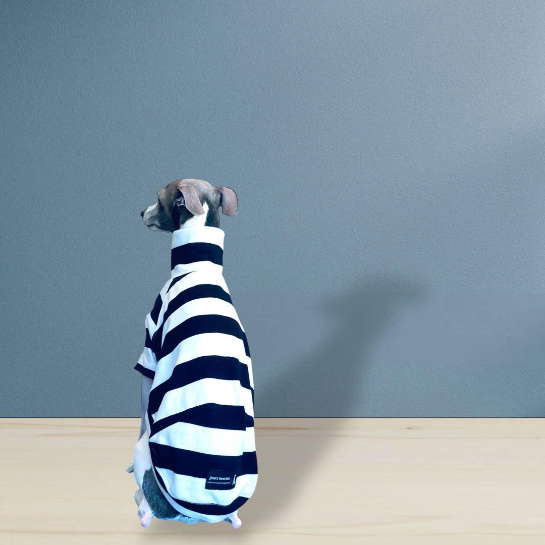 ⑱ボーダーショートスリーブ