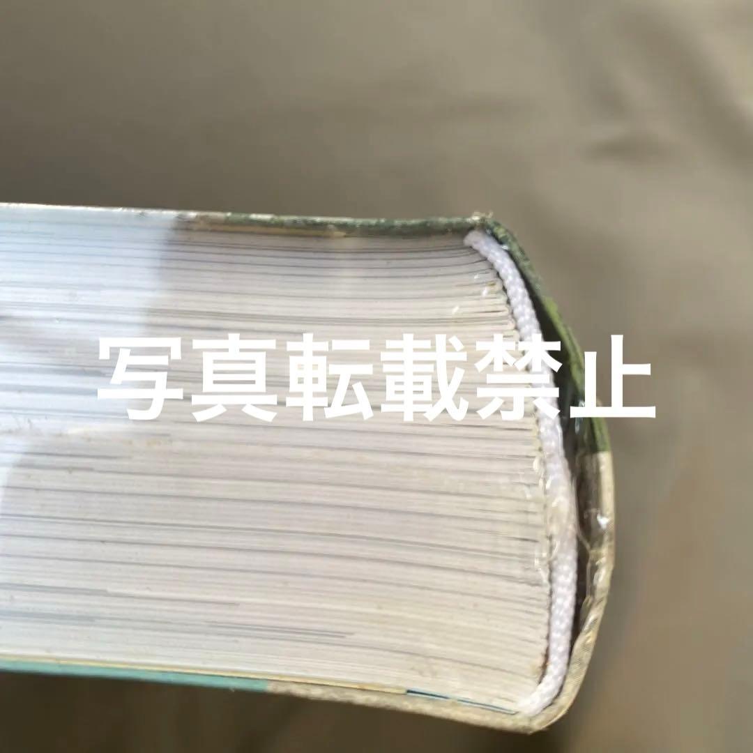 Magnum magnum : コンパクトバージョン