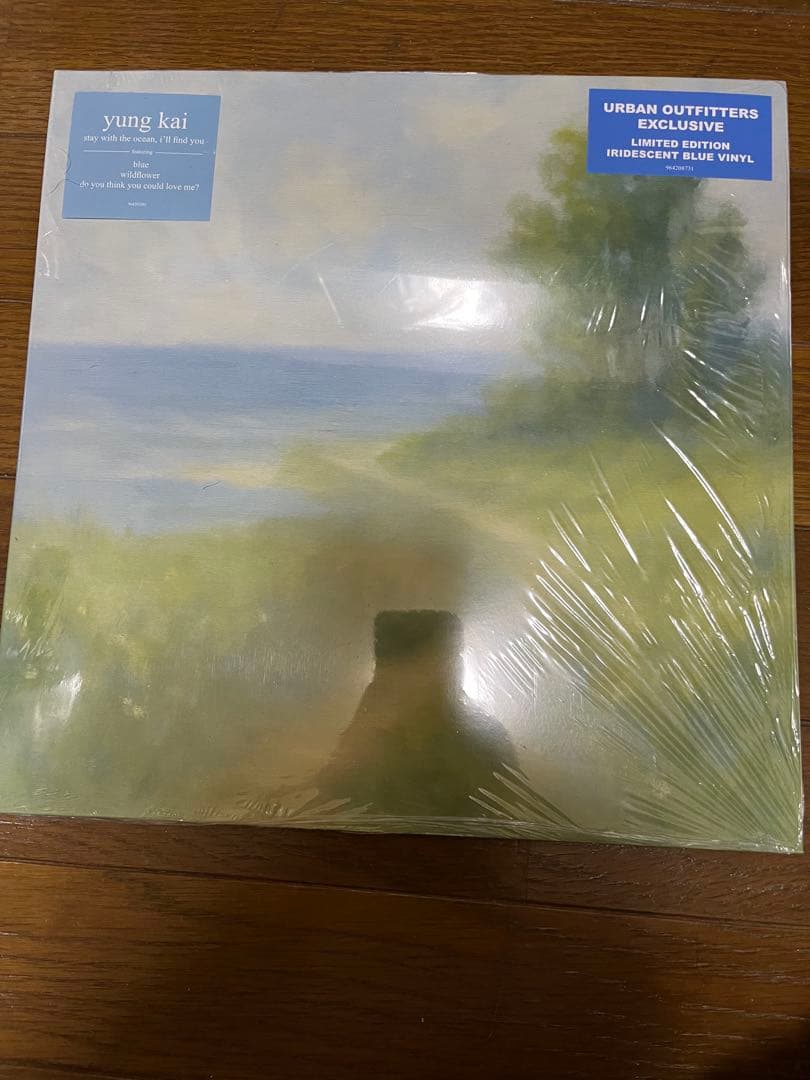 Yung Kai アナログレコード blue収録 フリーレン