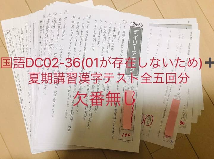 最新2021年度サピックス 4年生 算国理社テキストフルセット+国算DC