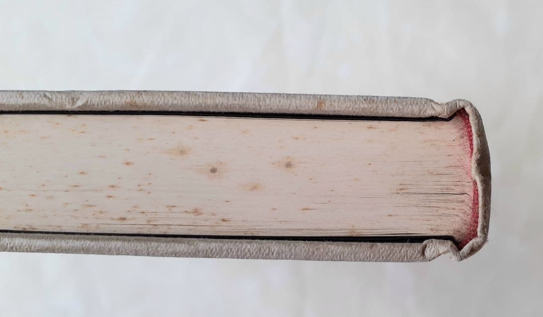 ■ルネサンス修道女物語 聖と性のミクロストリア