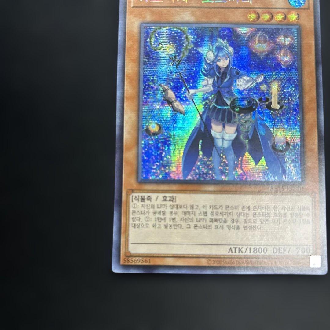 遊戯王 アロマージ－ローズマリー 韓国版 プロモーションカード シークレットレア