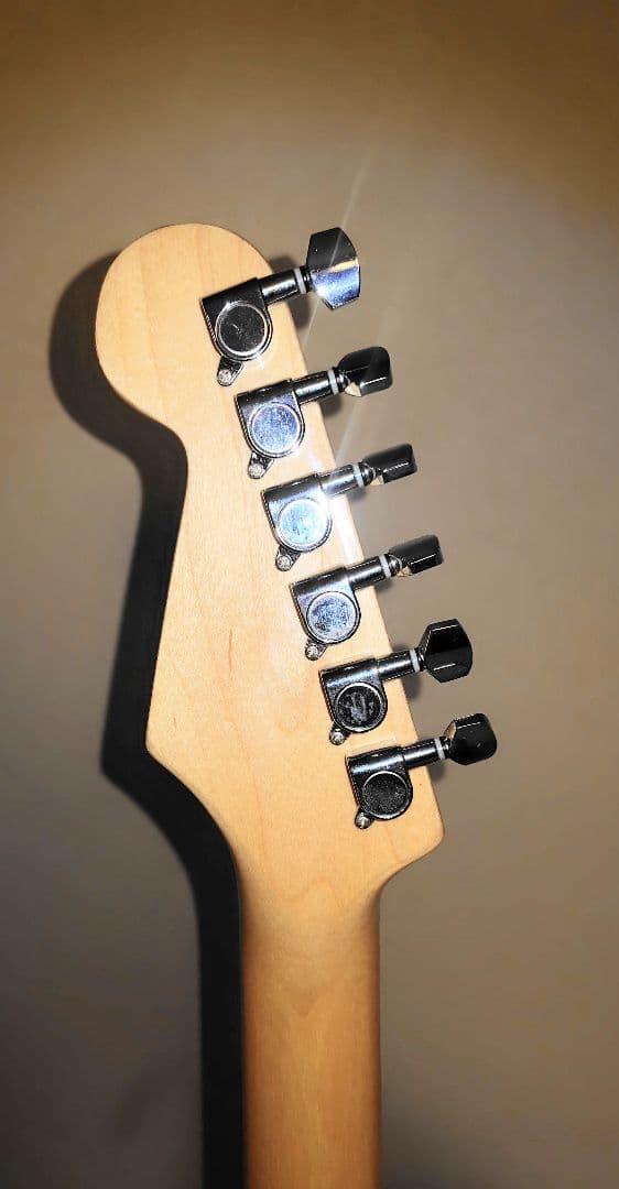 Ｂucchus ストラトタイプ　　　 (入手困難 生産中止モデル)