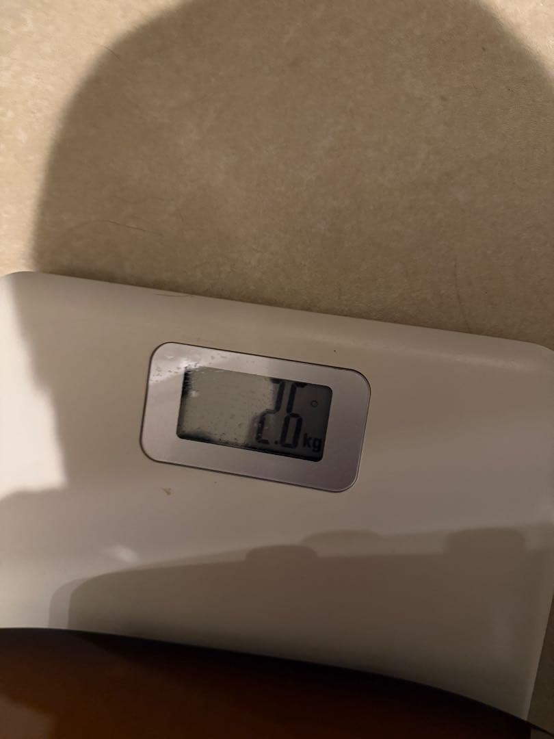 超美品Tom Anderson short hollowT ミディアムスケール