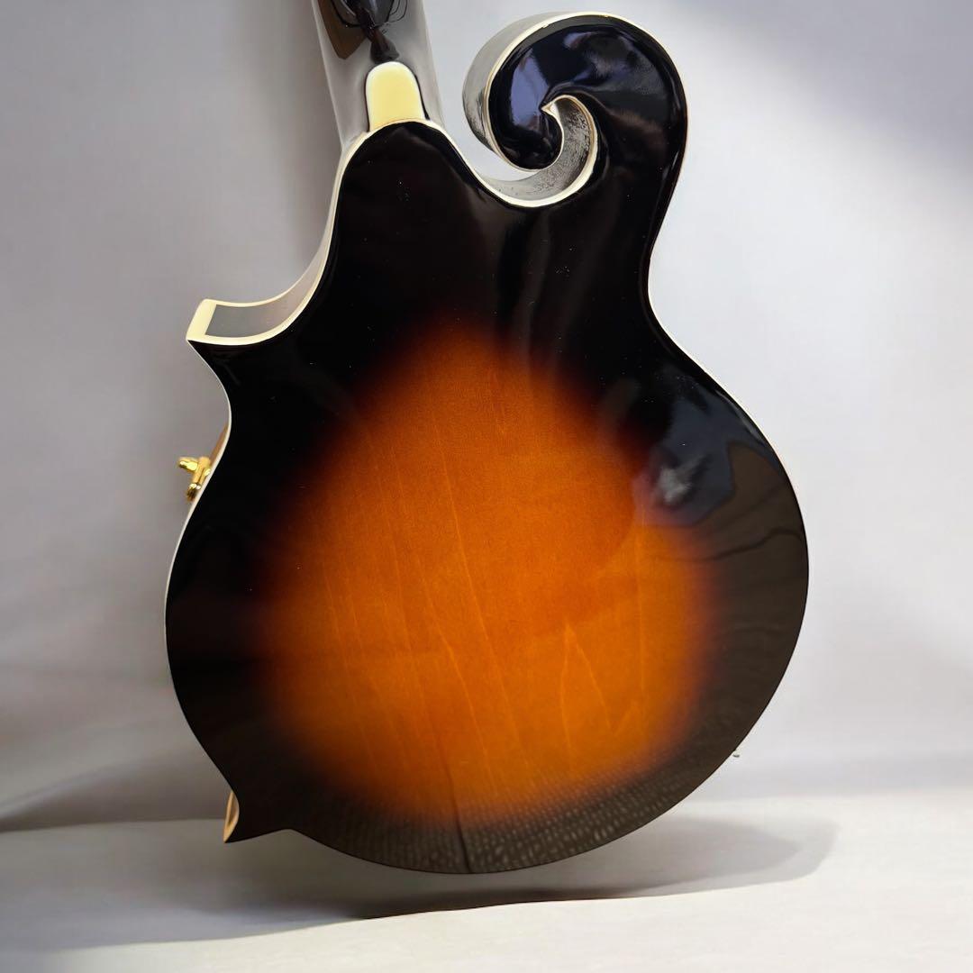 【美品】ARIA AM-40 フラットマンドリン ハードケース付き