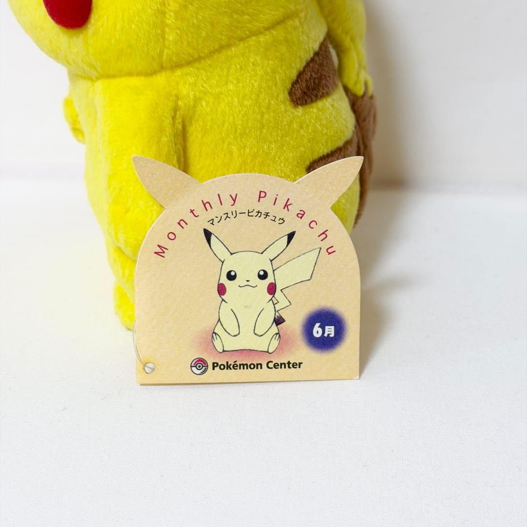 マンスリーピカチュウ 2005年6月ポケモンセンター限定 ポワルンてるてるぼうず