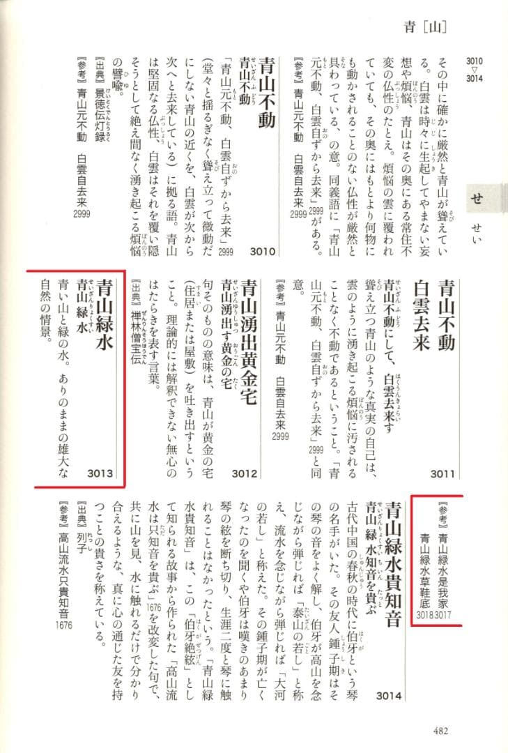 裏千家14世淡々斎御書付『竹茶杓：青山緑水』大徳寺503世管長 瑞巌宗碩自作