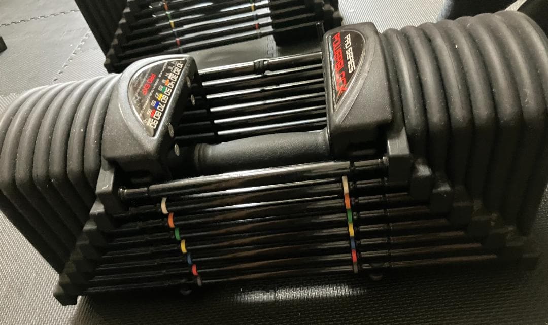 POWERBLOCK (パワーブロック) PRO EXP 90LB ②