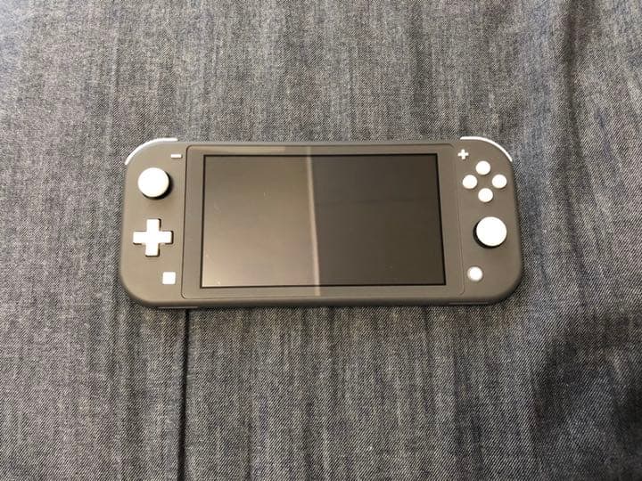 SwitchLite &マリオカート8DX