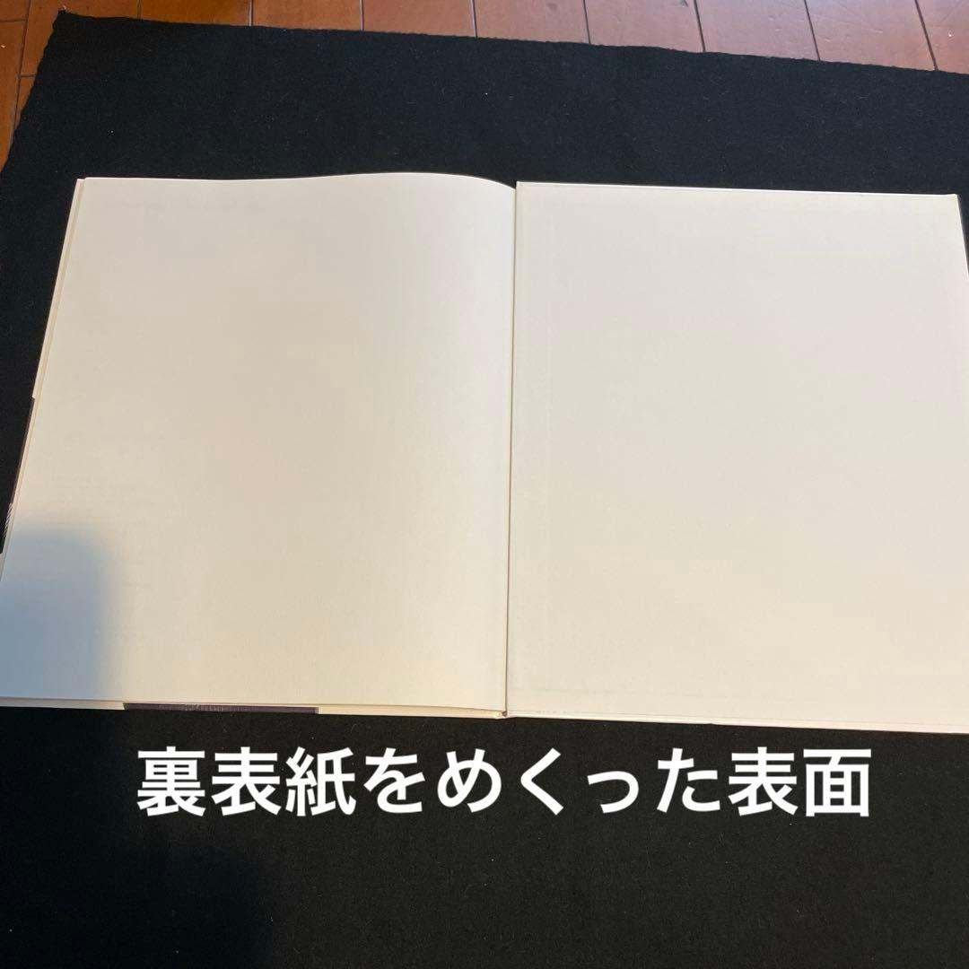 ISSEY MIYAKE BY IRVING PENN 世界で3000冊限定レア