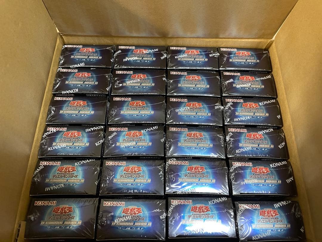 terminal world ターミナルワールド 1カートン 24box