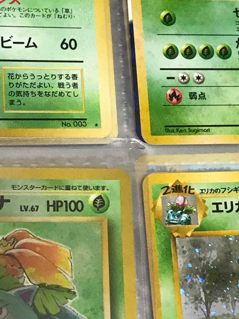 ポケモンカード旧裏　初期フシギバナ