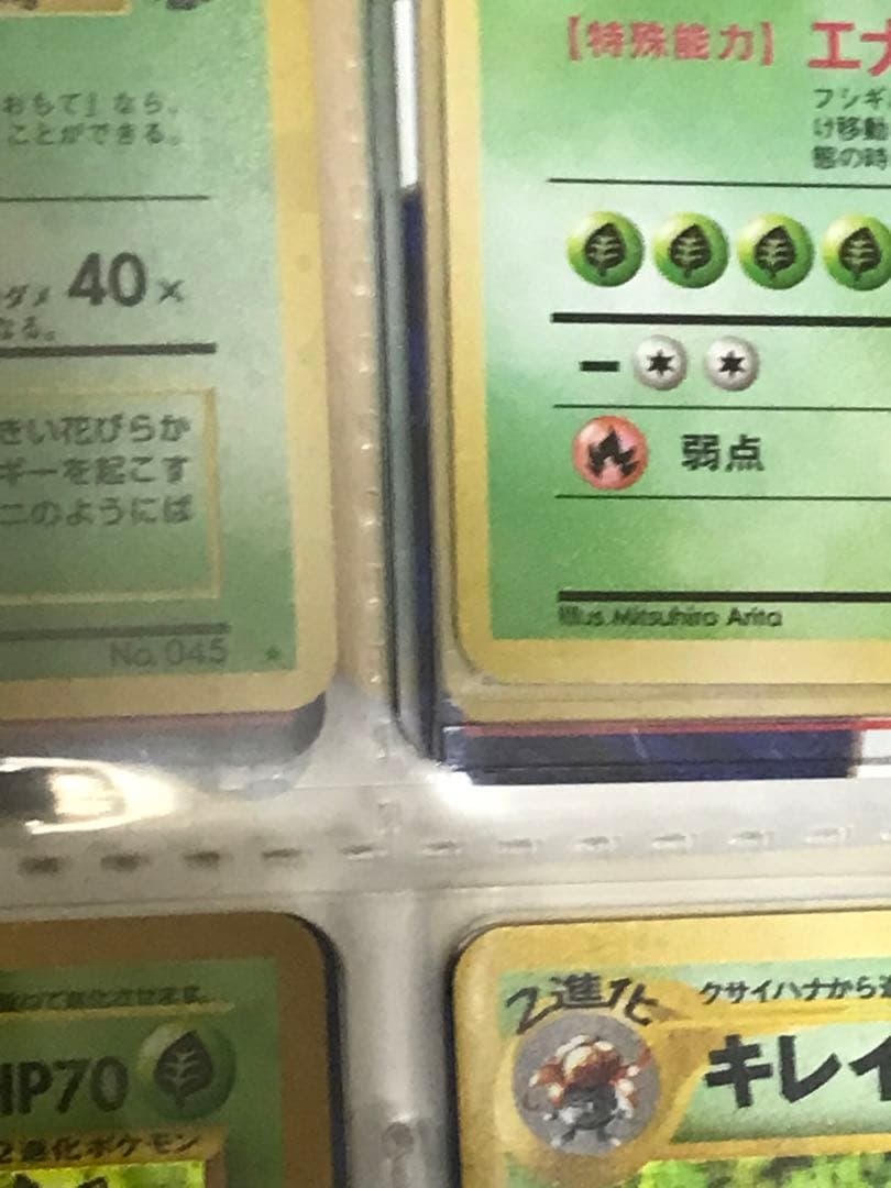 ポケモンカード旧裏　初期フシギバナ