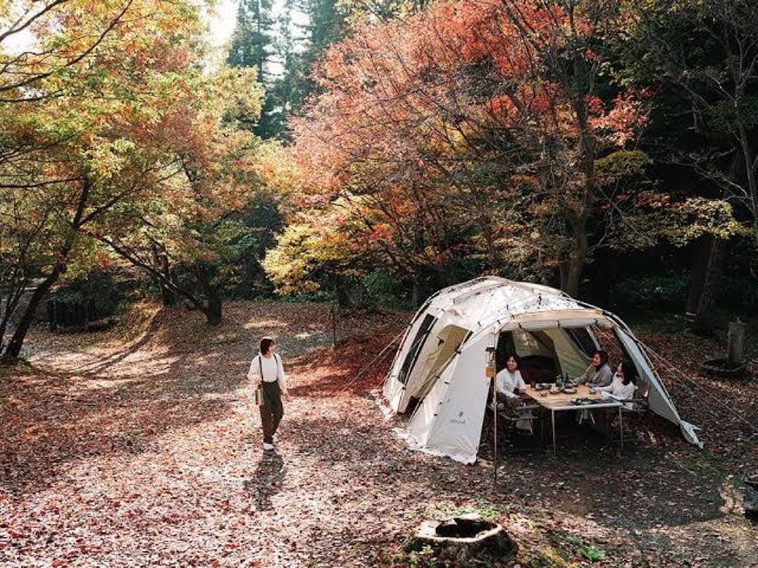 モ*モ様 スノーピーク　ランドロック　新品　セット　ランドロックア