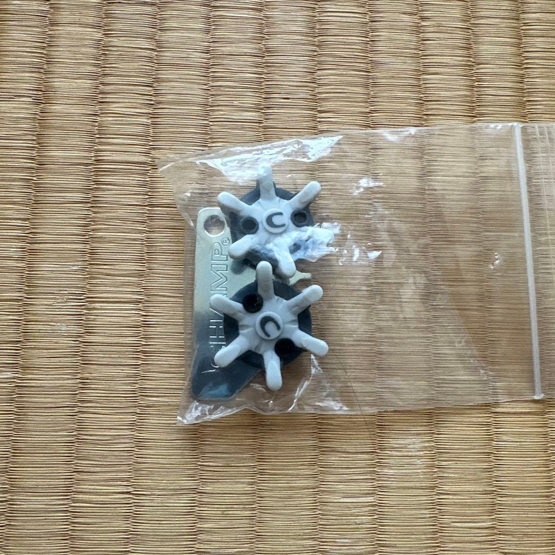 【エコー】 ゴルフシューズ レディース【ecco】　24.5