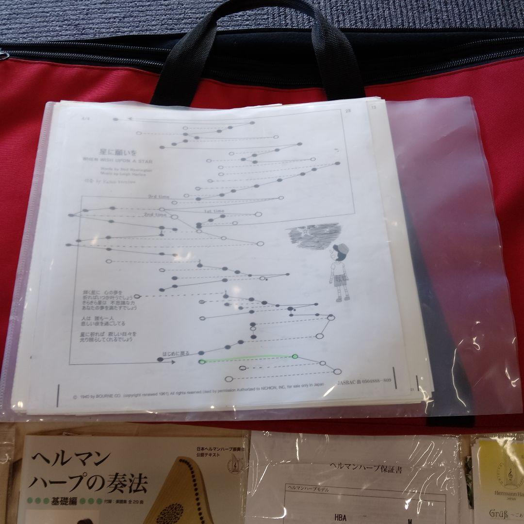 Hermann Veeh 15弦ハープ ケース付き