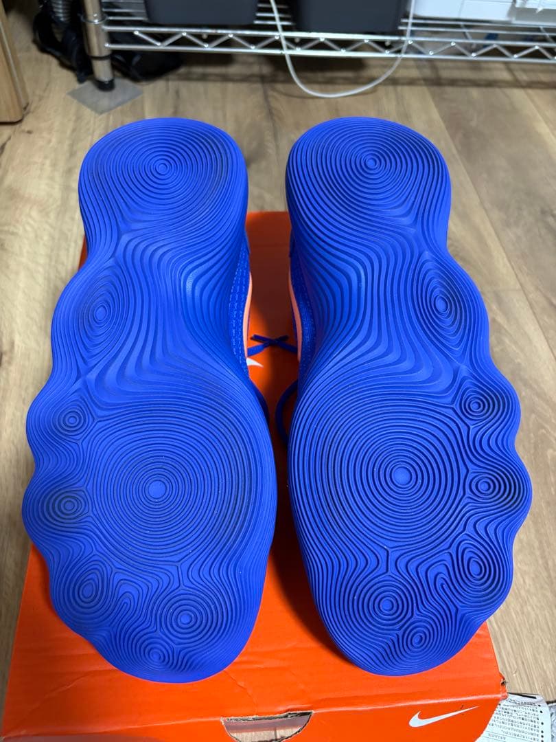 シューズ(男性用) NIKE HYPERDUNK 2017 LOW EP