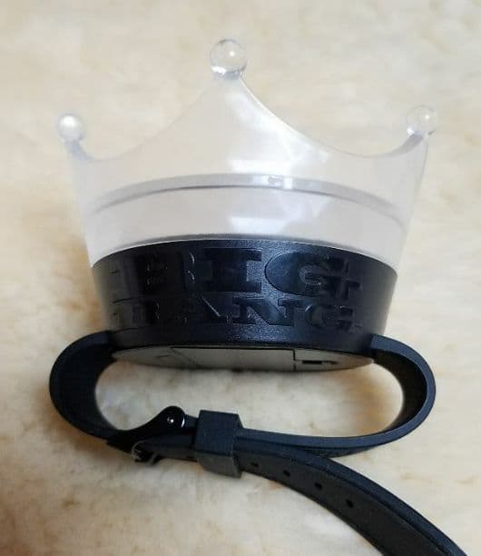 BIGBANGフラッシュバンド