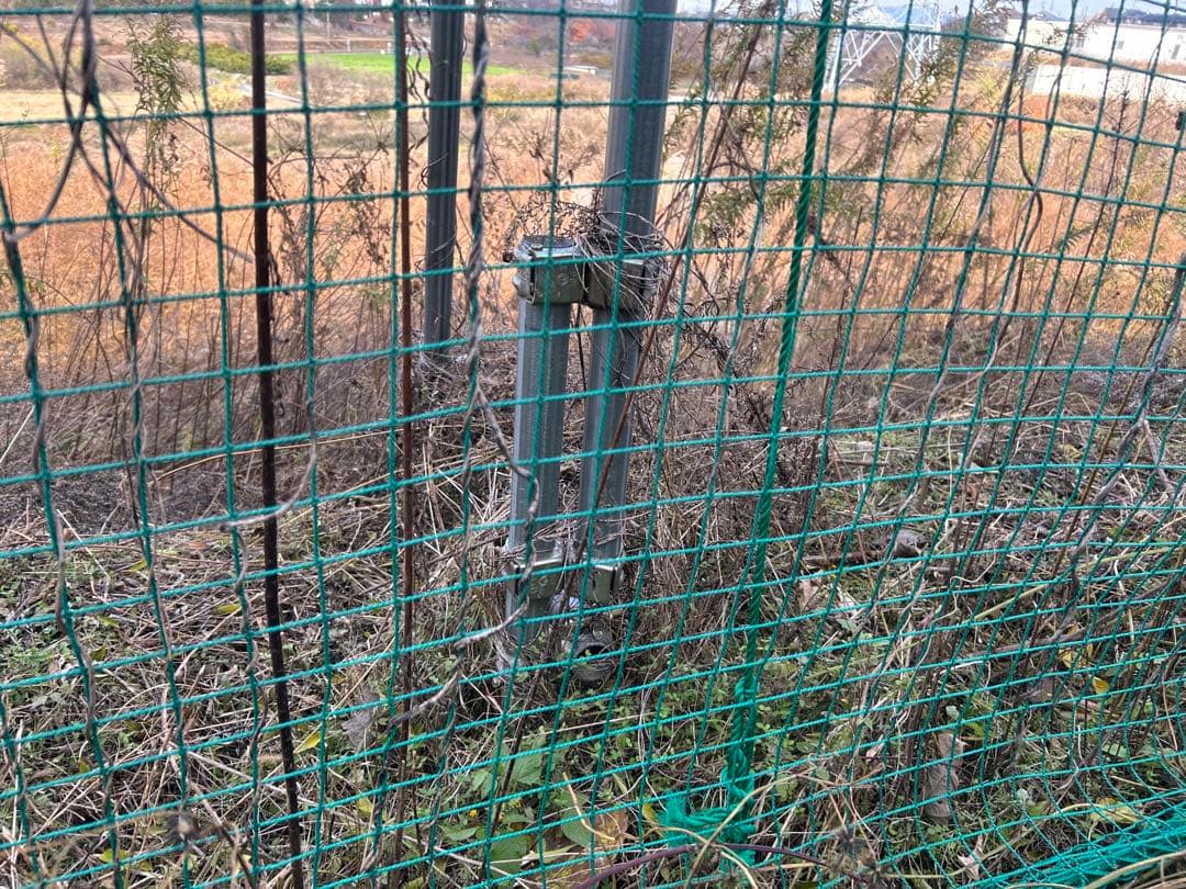 大型バッティングゲージ