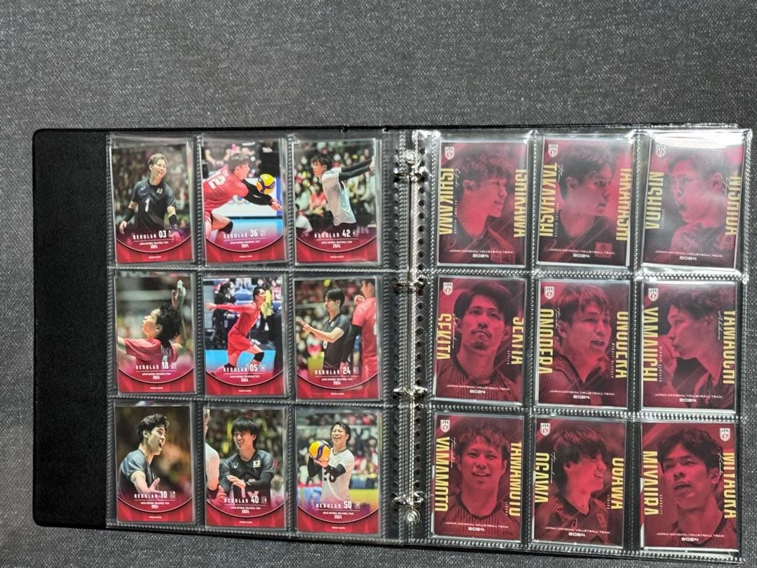 男子バレー 日本代表チーム 直筆サイン入り 金箔サイン カードセット