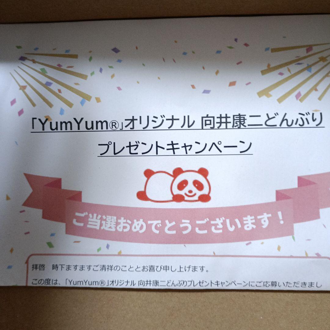 Man向井康二 どんぶり yumyum