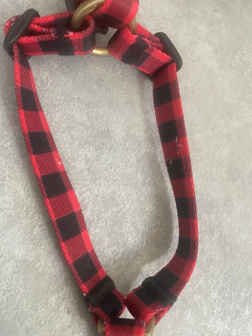 ciiron ハーネスとリードセット Michael